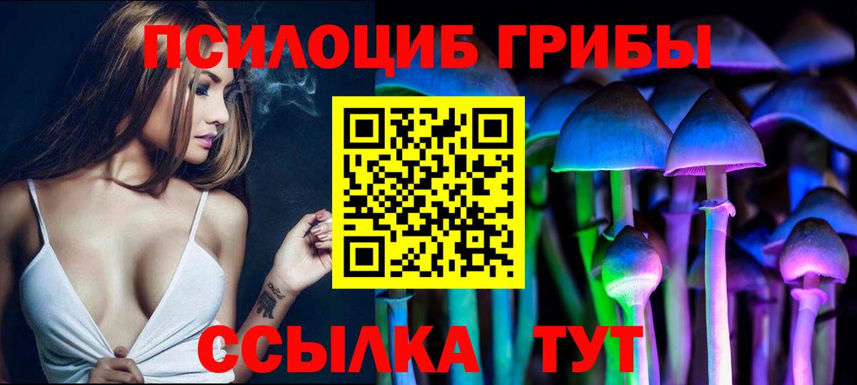 Краснознаменск  Галлюциногенные грибы Psilocybine cubensis  Вход с VPN 